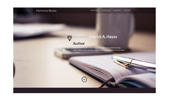 Patrick Hayes Responsive Website